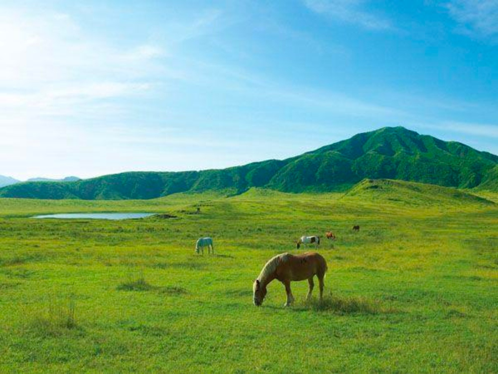 熊本郊區景點推薦 2:草千里