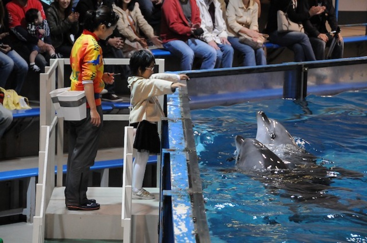 尼克斯海洋公園